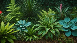 Monsoon Plants Practically Take Care Of Themselves