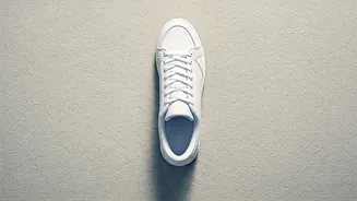 The Daily Step Craze Continues