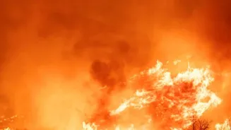 At least 12 dead after private bus catches fire in Andhra Pradesh's Kurnool district