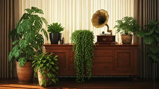 Aasif Sheikh's Mumbai Abode: A Harmonious Blend of Greenery and Vintage Treasures