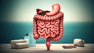 Holiday Gut Woes: Your Guide to Avoiding and Managing Travel Tummy Troubles