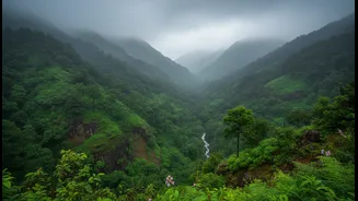 Monsoon Travellers Are Choosing The Western Ghats For Misty, Slower Breaks