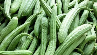 Love stir-fries? Then, this ridge gourd recipe is a must-try