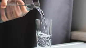 A Rainwater Plan Should Include How the Container Will Be Emptied
