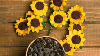 Inside Sunflower Seeds At Breakfast: Vitamin E And Fats In Sunflower Seeds