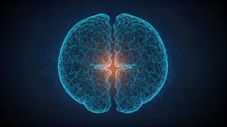 Midnight Mind Loop: Why Your Brain Replays Conversations & How to Stop It