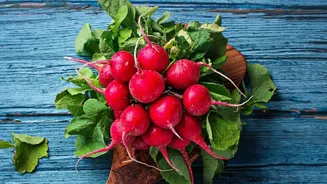 Radish vs Beetroot: One Wins on Vitamin C, Another on Folate