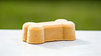 Turn Peanut Butter Into Frozen Toys For Active Cool Dogs