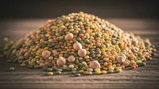 Fibre-Forward Food Is Built For Indian Kitchens