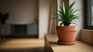 Urban Indians Want Homes That Feel Fresh