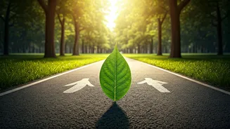 Walking vs. Running 5km: Which is Your Ultimate Fitness Partner?