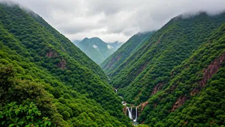 Mount Abu Is Becoming A Monsoon Couple Favourite