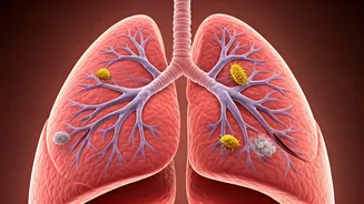 Childhood Allergic Asthma on the Rise: Early Signs and Long-Term Impacts