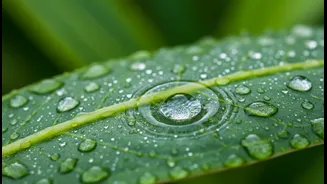 Simple Skincare Fixes For Rainy Season Acne