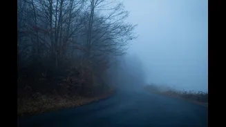 Bengaluru Records Lower Minimum Temperatures, Karnataka On Cold Wave Alert