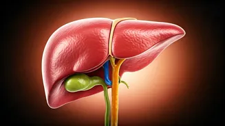 Unlocking Liver Health: Your Body's Silent Powerhouse