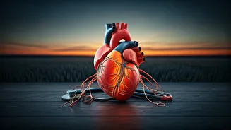 India's Silent Heart Crisis: Bridging the Cardiology Gap in Rural Areas