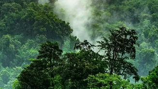 Why Monsoon Rain Can Trigger Floods And Landslides Across Nepal
