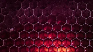 Unveiling Purple Honey: A Rare Delight