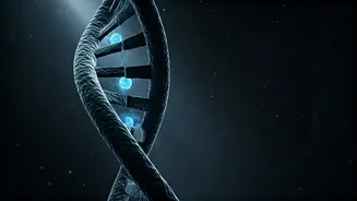 The Alarming Link: How Poor Sleep Skyrockets Cancer Risk by 72%