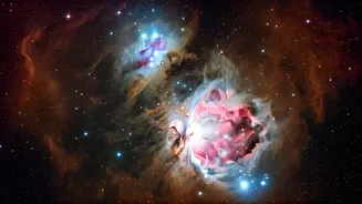 James Webb Telescope Unveils the Eerie 'Exposed Cranium' Nebula in Stunning Detail