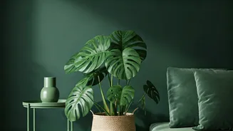 Green Decor Is Going Fully Mainstream Now