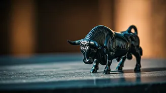 Related Stories banner