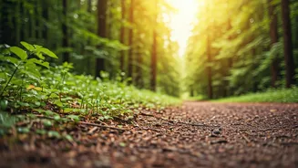 Unlock Your Fitness: 5 Essential Walking Workouts for Beginners