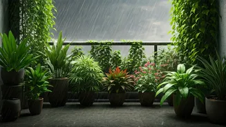 Balcony Gardens Get Easier Once The Rains Arrive