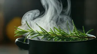 Beyond the Aroma: The Science Behind Grandma's Rosemary Steam for Fresher Air