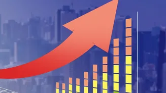 Freshers Hiring Rises In India: Which Sectors Are Recruiting Most?