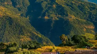 Village homestays boost rural incomes