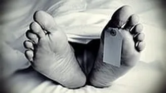 MP News: Ambulance Carrying ITBP Jawans Crashes Into Parked Truck In Gwalior; 2  Dead, 4 Critical