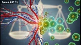 Fitness Readers And People Tracking Metabolic Health Should Compare Blood Vessels, Inflammation And Weight Maintenance, Not Just The Headline