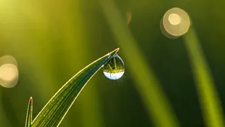 The Power of Small: Swami Sivananda's Wisdom on Life's Grand Tapestry