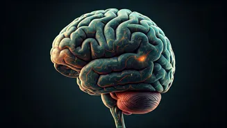 5,000 Steps: A Daily Dose of Brain Health