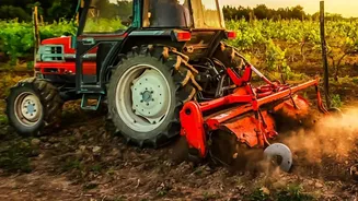 Farm Policies Should Reward Practices That Protect Soil Function