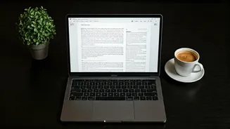 Master Online Reading: Unlock Chrome's Clutter-Free Reading Mode