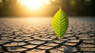 Unplugging from Facebook: How 36,000 Quitters Found a Better Life