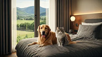 Indian Pet Parents Want Paw-Approved Getaways