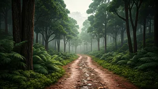 Travel Responsibly During Mizoram's Rainy Season