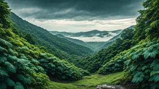 Wayanad And Munnar Win Monsoon Couple Plans