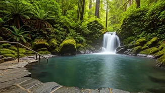 Sol Duc Hot Springs: A Rainforest Retreat