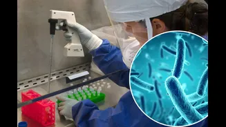 WHO Says Siberia Plague Risk Is Low As Dozens Quarantined After Suspected Lab Worker Death