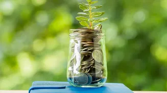 Why The 50/30/20 Formula Helps Young Earners Enjoy Life While Building Wealth Safely