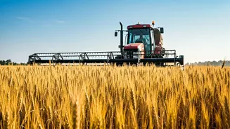 PM Kisan 21st Installment: Are You Eligible?