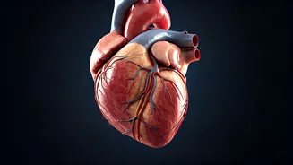 Beyond Chest Pains: Unveiling Early Heart Attack Warning Signs You Can't Ignore