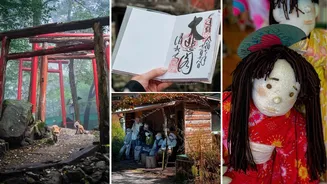 Unique things to know before you visit Japan: From Zao Fox Village to smart toilets