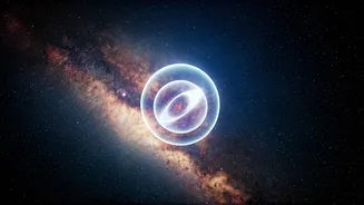 Related Stories banner