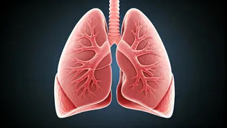 Blood Oxygen Levels: What You Need to Know